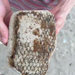Cool rock with a almost hexagonal pattern