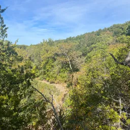 Photo taken in Boone County, Missouri, United States
