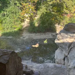 Photo taken in Boone County, Missouri, United States