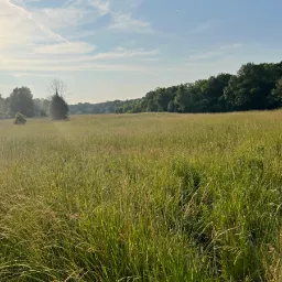 Photo taken in Elk Grove Township, Illinois, United States