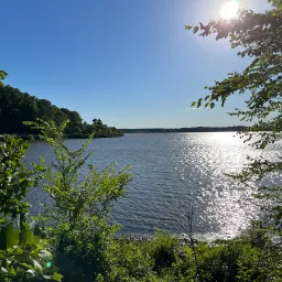 Photo taken in Cary, North Carolina, United States