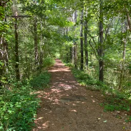 Photo taken in Blands, North Carolina, United States