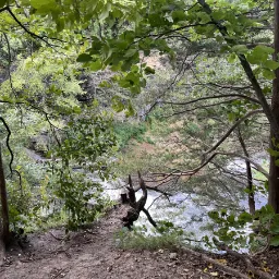 Photo taken in Town of Saint Joseph, Wisconsin, United States