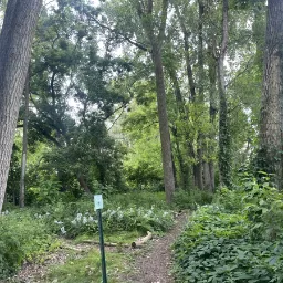 Photo taken in Prospect Heights, Illinois, United States