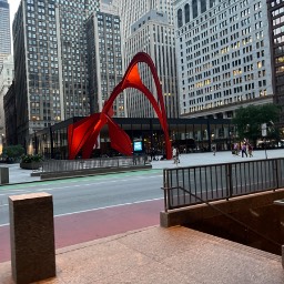 Flamingo — Chicago, Illinois, United States