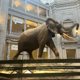 Smithsonian — Washington, District of Columbia, United States