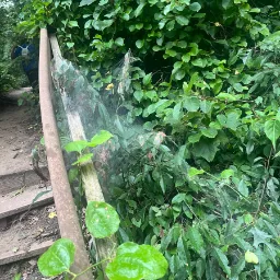 Spiderweb — Michigan City, Indiana, United States