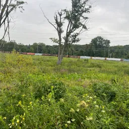 Trains At Cowles Bog — Dune Acres, Indiana, United States