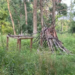 A teepee in the forest