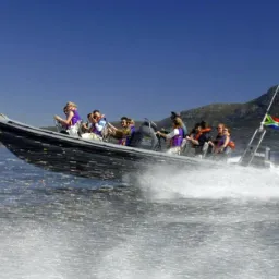 In the speed boat — Western Cape, South Africa