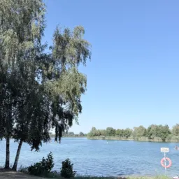 A lovely day by the lake — 68794, Oberhausen, Oberhausen-Rheinhausen, GVV Philippsburg, Landkreis Karlsruhe, Baden-Württember