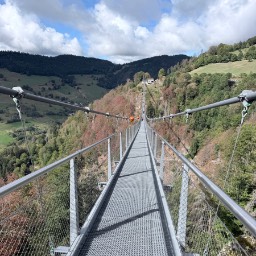 Black Forest Line – Todtnau