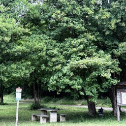 Zinkenbusch Hiking Car Park — Östringen, Baden-Württemberg, Germany