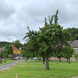 Motorhome Stopover at the Adventure Park – Witzenhausen — Ziegenhagen, Hesse, Germany