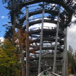 Treetop Walk – Bad Wildbad