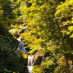 Triberg Waterfalls – Black Forest -1 — Triberg (Kernstadt), Baden-Württemberg, Germany
