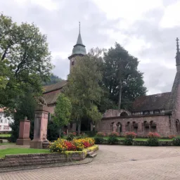 The Miracle Pine – Bad Herrenalb Monastery