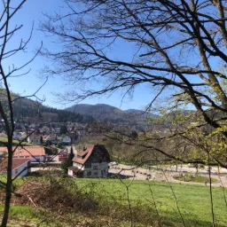 The Bee Trail – Bad Herrenalb
