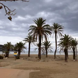 The Beach at Camping Joncar Mar – Roses