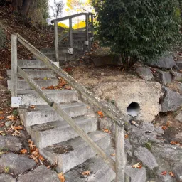 Steps into the Light — Chonas-l'Amballan, Auvergne-Rhône-Alpes, France