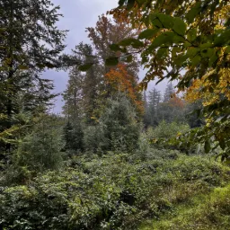 Photo taken in Friedberg, Bavaria, Germany